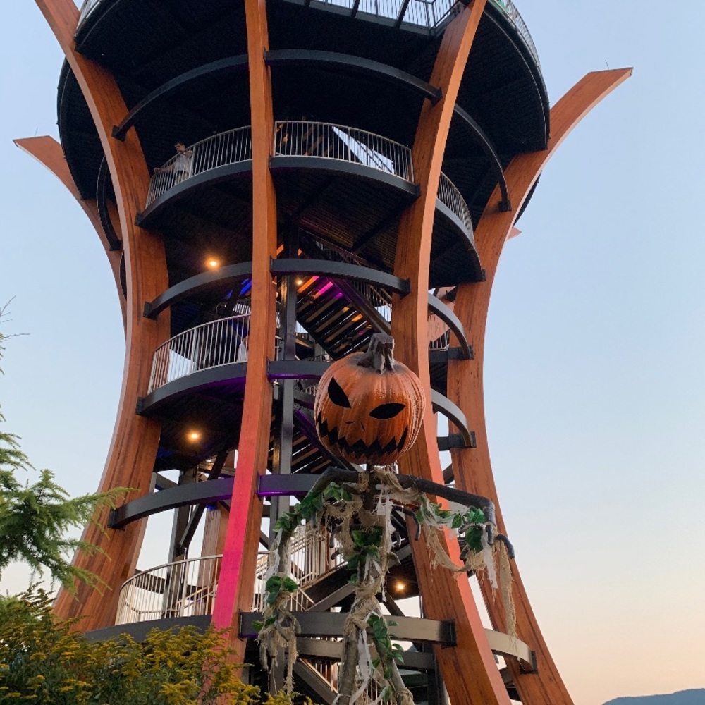 Meet your Posher, Tara